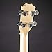 Taylor GS Mini Maple Bass