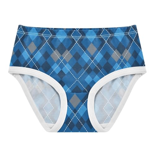 Blue Checkerboard Toddler Girls's Underwear 2T 2300891
