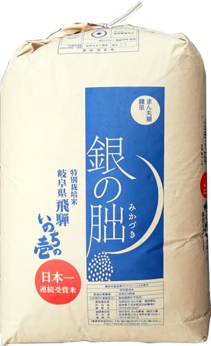 yVāz 10kg ʍ͔|  ̞K(݂Âj (Ă)