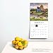 Vintage Country | 2025 12 x 24 Inch Monthly Square Wall Calendar | Featuring the Artwork of Geno Peoples | Plastic-Free | Hopper Studios | Cars and Trucks Artist
