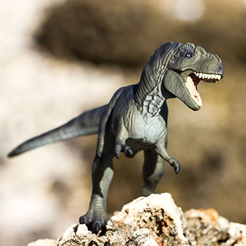 Safari Tyrannosaurus Rex 16,2 cm | Dinosaurier-Figur | Ungiftig und BPA-frei | Für Kinder ab 3 Jahren geeignet Ltd