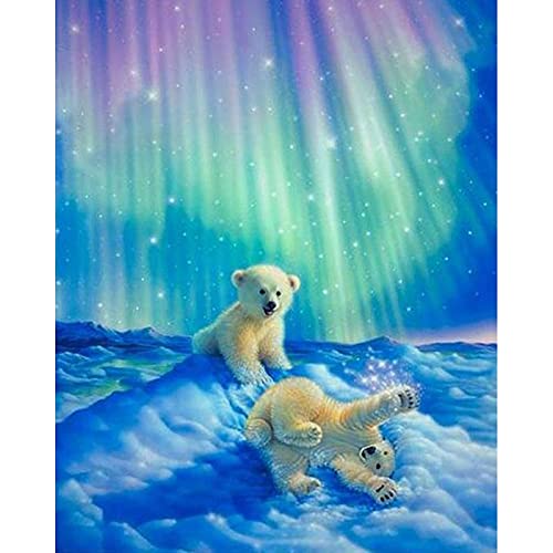Peinture Strass Aurores Boréales Grand Format 60x120 Broderie Diamant Complet