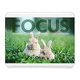 Style élégant avec son aspect cuir