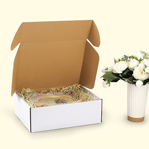 Image of HORLIMER 12x9x4 inches Shipping Boxes Set of 20, White Corrugated Cardboard Box Literature Mailer