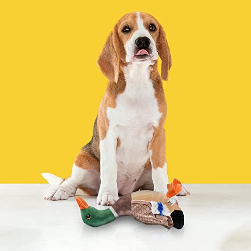 Image of BarkButler x Fofos Wild Duck Plush - Soft & Squeaky Toys for Dogs, Dog Toys for Medium Dogs (0-20kgs) - Brown