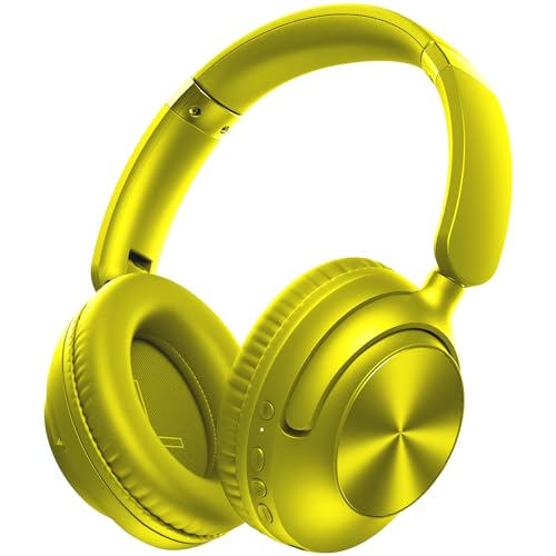 TAGRY Hybrid Active Noise Cancelling Headphones