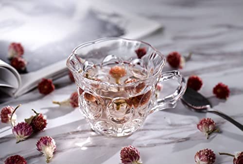 Image of Premium Glass Tea & Coffee Cups Set of 6, 200 ML Transparent Glass Mug with Handle for Coffee,Green Tea, Hot & Cold Beverages, Stylish Clear Drinking Cups for Home Kitchen Cafe (CTZ - 23)