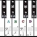 Adesivi per pianoforte, adesivi per tastiera, trasparenti, rimovibili, per principianti, con note, set completo di tasti neri e bianchi, per tastiere 49/61/76/88