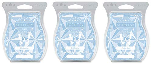 Scentsy, Clothesline, Wickless Candle Tart Warmer Wax 3.2 Oz Bar, 3-pack (3)