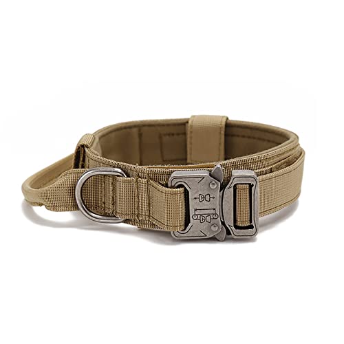 nht̎ wr[^obNtiC߉\ȃ~^[hbOJ[ ^^̃g[jOEH[LOnCLOɍœKiMj