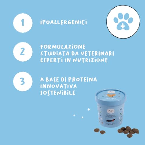 Hundekekse ohne Getreide, glutenfrei | Set mit 3 Keksen Hund Crick Crok Insektenprotein Apfel, Obst und Gemüse | Snack für empfindliche Hunde und mit Dermatitis | 300 g | Snack Hygge Dog