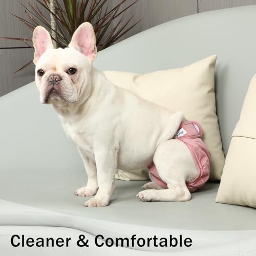 JoyDaog Waschbare, wiederverwendbare, hochwertige Hundewindeln für kleine Hunde, für Wärme, Inkontinenz, Welpenwindeln, XS