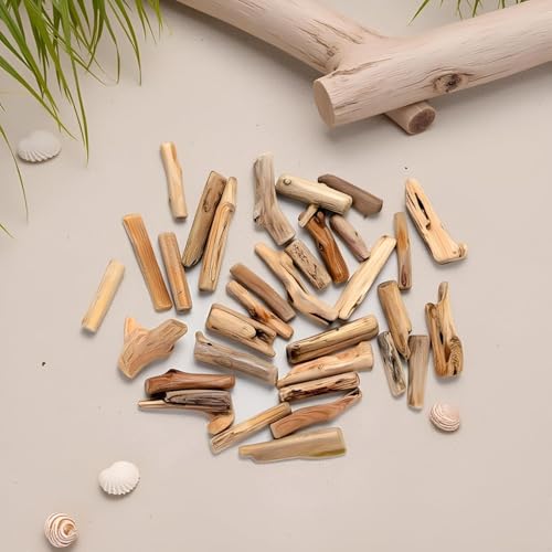 20 Pcs Natural Driftwood Pieces Branch Slices Craft Sticks Beach Decor for DIY Rustic Home Decor Frames Wreath Surf Art Craft Supplies - Thumbnail 2