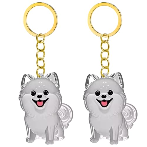 2/3/4/5/10PCSペットメモリヘアコレクターコンパートメント付きキーチェーンペットファーズ犬用猫のためのストレージペンダント恋人ギフトメモリホルダー