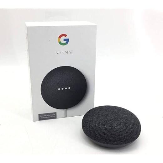 Support pour Google Nest Mini (Google Nest Mini noir + support noir)