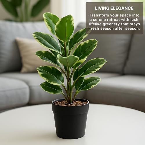 Image of Habere India-All the Cultures Fabricating India Artificial Plant with Pot for Home Decor | Fake Plants for Living Room Decoration | Artificial Plants for Decoration (Design 03; L22 x W17 X H38 cm)