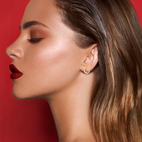 AINUOSHI Moissanite Lucky Horseshoe Earrings 925 Sterling Silver Hypoallergenic Dainty Stud Earrings for Women Birthday Gift With GRA Certificate3