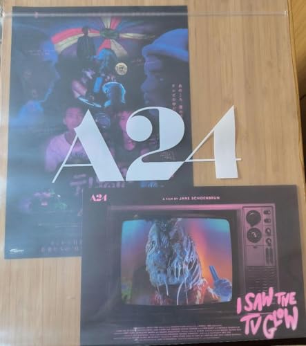 A24 テレビの中に入りたい パンフレット ショッパー チラシ付 A24 テレビの中に入りたい パンフレット ショッパー チラシ付