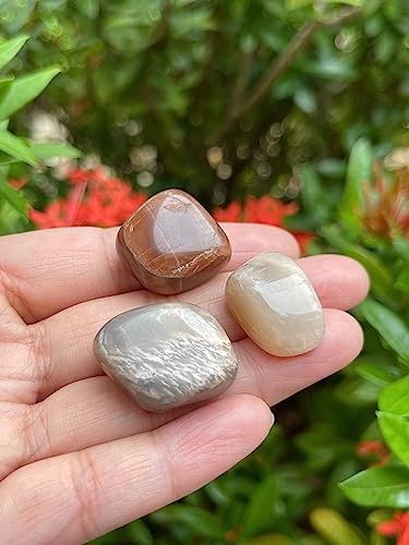 Image of 1 /2 LB Moonstone Multi Tumbled Stones, Polished Natural Moonstone Multi Gemstone, Moonstone Multi Healing Crystals (Moonstone Multi)