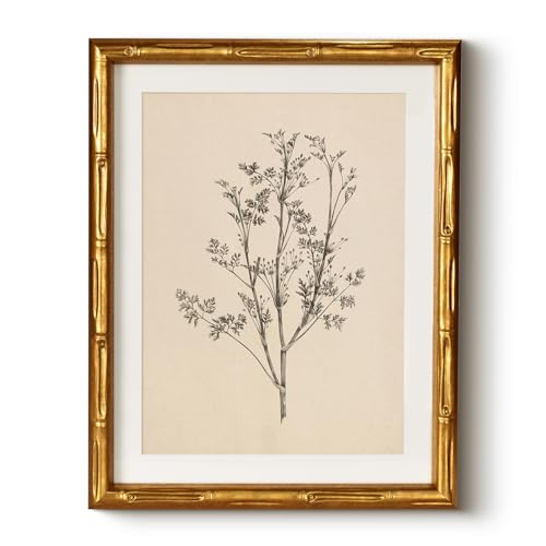 Vintage Botanical Gold Bamboo-Textured Framed Canvas Wall Art, 11x14 Inch