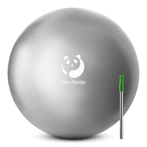 Slim Panda Pelota de Pilates 23cm, Antiexplosión Antideslizante PVC Pelota de Gimnasia, Soft Balones de Yoga para Terapia Geriátrica, Fitness, Entrenamiento del Equilibrio (Hierro)