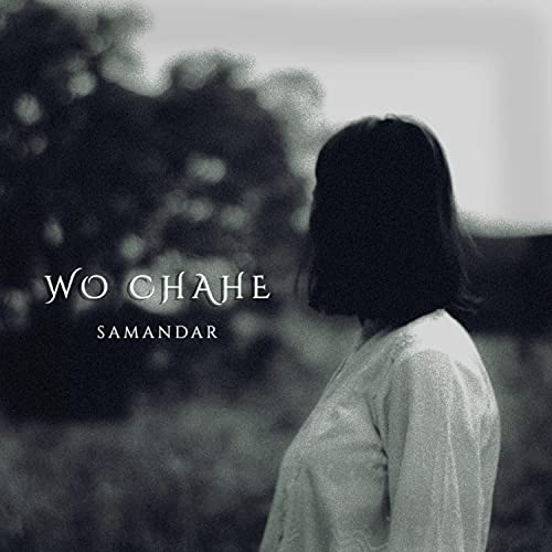Wo Chahe (feat. Hisar Zaidi)