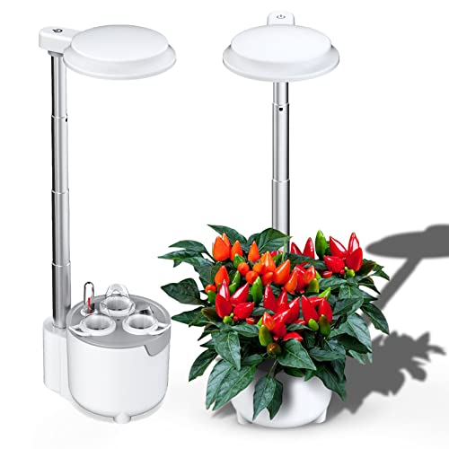Potager hydroponique autonome pour faire pousser des herbes fraîches sans balcon