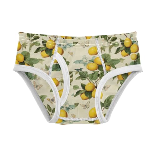Boys' Exclusive Briefs Toddler Underwear 95% Combed Cotton Boxerbriefs 2T Lemon Butterfly Leaf 65