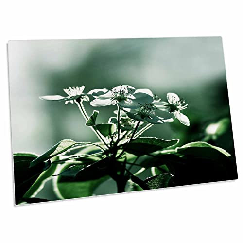 3dRose Bunch of Cherry Flowers - Desk Pad Place Mats
