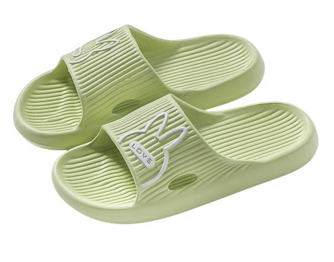 Alexvyan Green (38-39 UK) (6 Number-IND) Women Flip -Flop Bathroom Sleeper Anti-Slip Slides with Extra Comfort Cushion & Washable Causal Household Garden Daily Use (B0CK4NJ3BT) Amazon Price History, Amazon Price Tracker