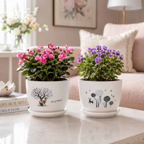 Image of Xtore Artistic Hand-Painted Ceramic Planter Set of 2 with Drain Tray | Elegant Indoor Plant Pots for Desk, Balcony & Home Decor (Pack of 2, Planter only)