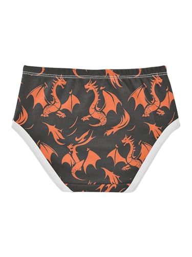 ZZKKO Silhouette Fire Dragon Girls Underwear Toddler Panties for Girls Comfort Brief Size 2-8T2