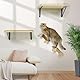 Katzen Kletterwand, Katzentreppe Wand 3er-Set mit 2 Stufen & Spielpodest, Wandmontiertes Massivholz Katzenwandmöbel Set für Klettern Spielen Schlafen