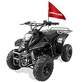 Offroad Mall REX 110cc Dirt Quad 4-Wheeler Mini Gas Powered ATV Off-Road for Kids, Remote Electric Start/Kill Switch, Speed Limiter, Automatic Transmission, EPA & CARB Approved, Black