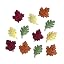 Fall Leaves
