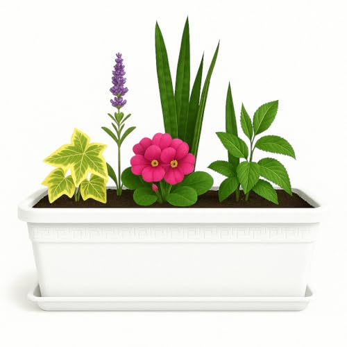 Jardinera de plástico con Plato, Macetero para Jardín, Fabricado en Polipropileno, Incluye Plato, Apto para Interior/Exterior, 40 cm Largo x 15 cm Alto x 18 cm Fondo, Blanco