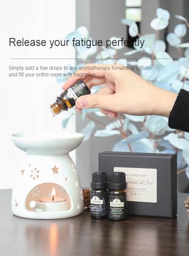 Image of DOCOSS Acrylonitrile Butadiene Styrene Essential Oil for Home Fragrance Diffuser, Humidifier| 10ml Bottle|Aroma Oil Pack of 3(Lavender, Peppermint, Lemongrass)