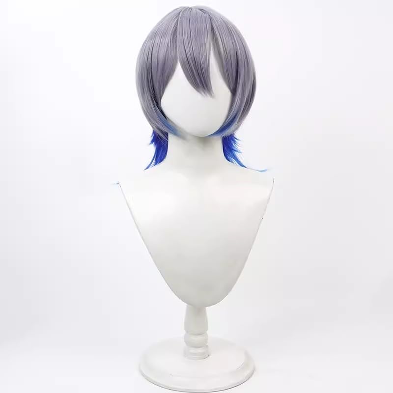 Amazon.co.jp: 小柳ロウ コスプレウィッグ : ホビー