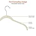 Amazon Basics Slim, Velvet, Non-Slip Shirt Clothes Hangers, Ivory/Beige - Pack of 50, Ivory/Silver