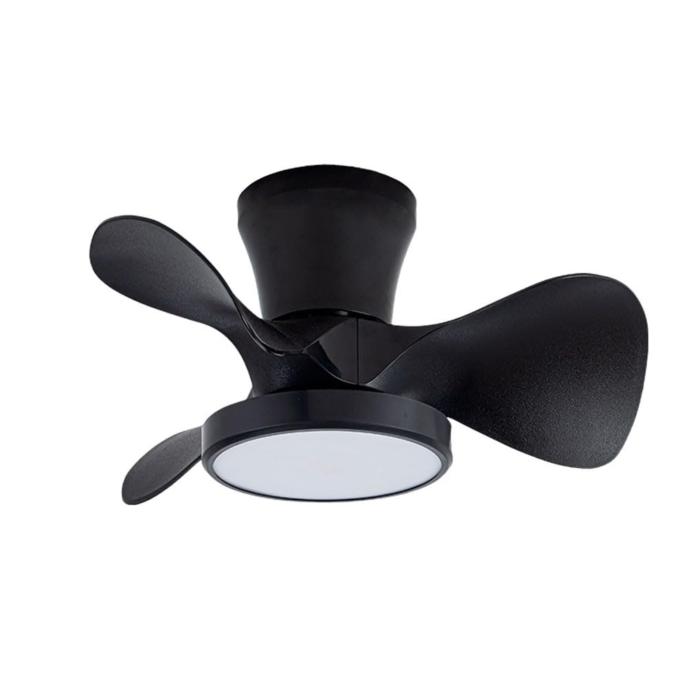 Bilake Black Mini Ceiling Fan | Small Ceiling Fan DC Motor | Ceiling Fan with Dimmable Light 20W Moll
