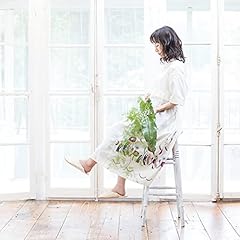 ���� / ��������