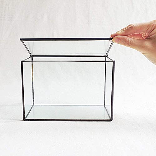 Small Plants Terrarium With Lid Black Rectangle Tabletop Glass Terrarium Geometric Clear Planter Little Moss Terrarium Box For Desktop Tabletop 6.7 X 3.9 X 4.7 Inches #TOP7