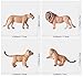 Keena 8PCS Realistic Lion Figurines with Lion Cubs, 2-8