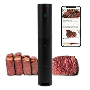 Anova Culinary Sous Vide Model 2024 Mini-precisiekoker, 850 watt, zwart en oranje, geschikt voor gebruik