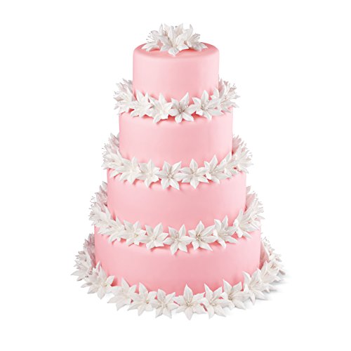 Wilton Round Cake Pans, Aluminum, 4 Piece Set For 6-Inch, 8-Inch, 10-Inch And 12-Inch Cakes #TOP6