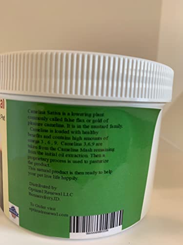 Image of Pain Relief for Dogs