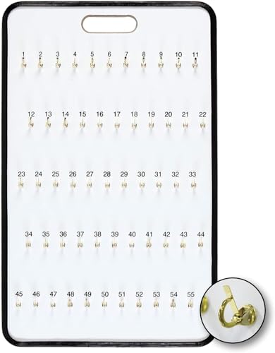 CGP Products 55 Hook Key Holder Wall Mount for Office, Work, Valet - Self Locking Hook Board - Portable Keyboard for Storage and Transport of Keys (55 Hooks)