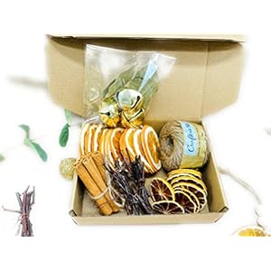 Christmas Crafting Kit Citrus OrnamentGarland Set Natural Tree Modern Farmhouse Thanksgiving garland Natural Christmas