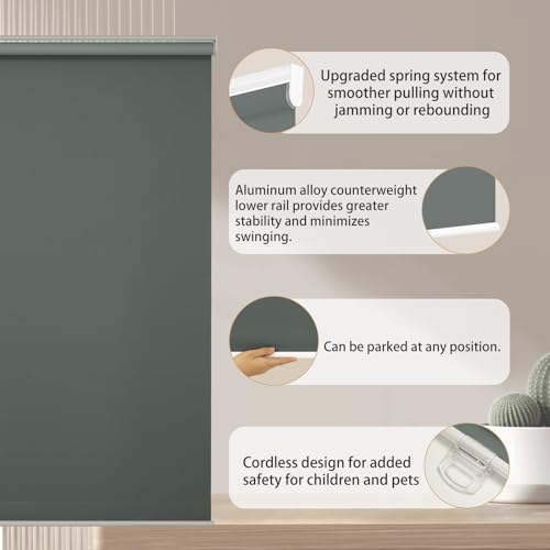 Image of Changshade Blackout Roller Shades for Indoor Windows,Cordless Roller Blinds,Free-Stop Roll Up Shades with Thermal Insulated, Uv Protection Fabric for Bedroom,Office,French Door,20.5 inch W72 H,Gray