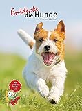Entdecke die Hunde: Mit großem Hunde-Quiz! (Entdecke - Die Reihe mit der Eule: Kindersachbuchreihe)